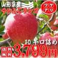 【早期予約】★訳あり★産地直送山形県産サンふじリンゴ：10kg詰(サイズ・玉数不揃い,傷等あり)【送料無料】配送：12月上旬頃～12月下旬頃