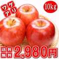 10セット限定セール【早期予約】★訳あり★産地直送山形県産サンふじリンゴ：10kg詰(サイズ・玉数不揃い,傷等あり)【送料無料】配送：12月上旬頃～12月下旬頃