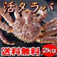 【送料無料】極上！タラバ蟹（たらばがに）オス　2.0kg！【活】・ボイル選択可能