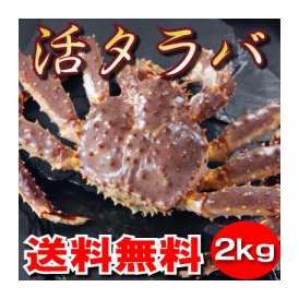 【送料無料】極上！タラバ蟹（たらばがに）オス　2.0kg！【活】・ボイル選択可能
