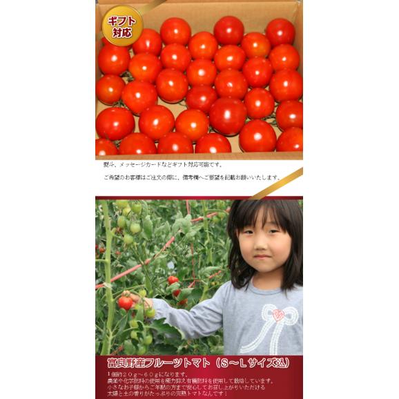 北海道富良野産　訳ありフルーツトマト（中玉）　１ｋｇ（SからLサイズ込）【送料無料】【わけまち】【訳待ち】04