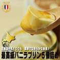 北海道産　牛乳使用　ブランシュネージュ　バニラプリン5個セット