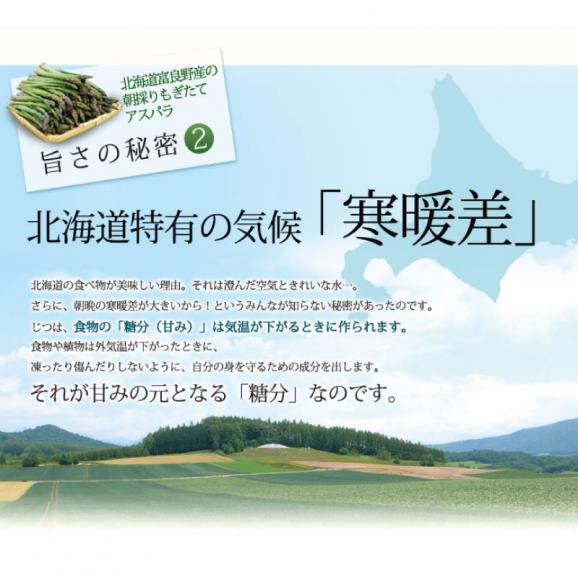 アスパラ　北海道富良野産　生で食べれる グリーンアスパラガス　秀品（SからLサイズ込）１ｋｇ　　日時指定不可05