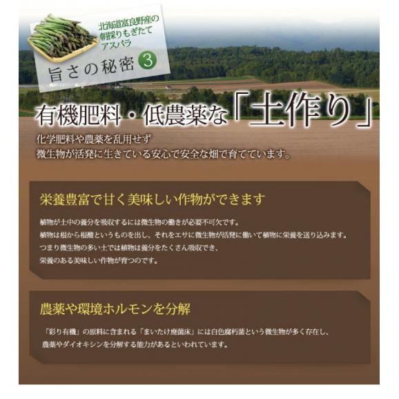 アスパラ　北海道富良野産　生で食べれる グリーンアスパラガス　秀品（SからLサイズ込）１ｋｇ　　日時指定不可06