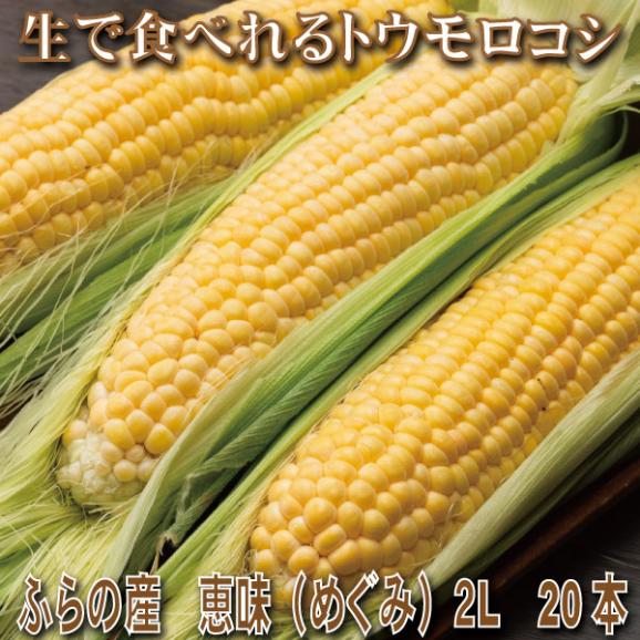 生で食べれる！とうもころこし　北海道富良野産　恵味（めぐみ）２Ｌサイズ　２０本入り01