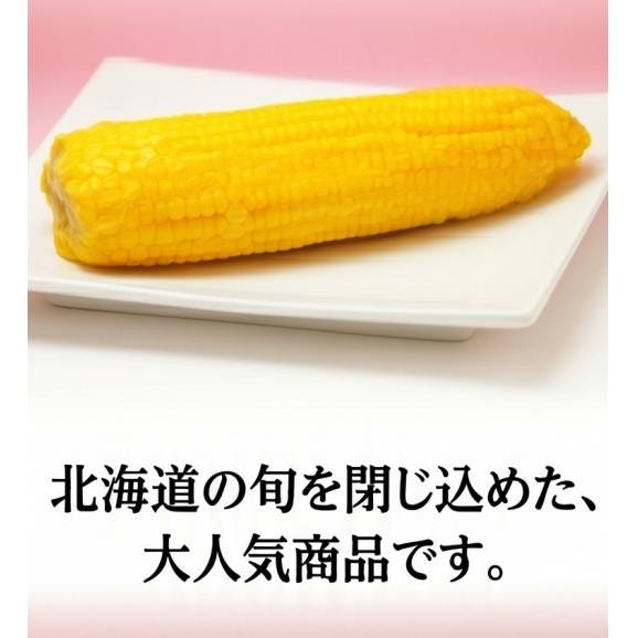 無添加 北海道富良野産 スイートコーン 10本【約4kg】05