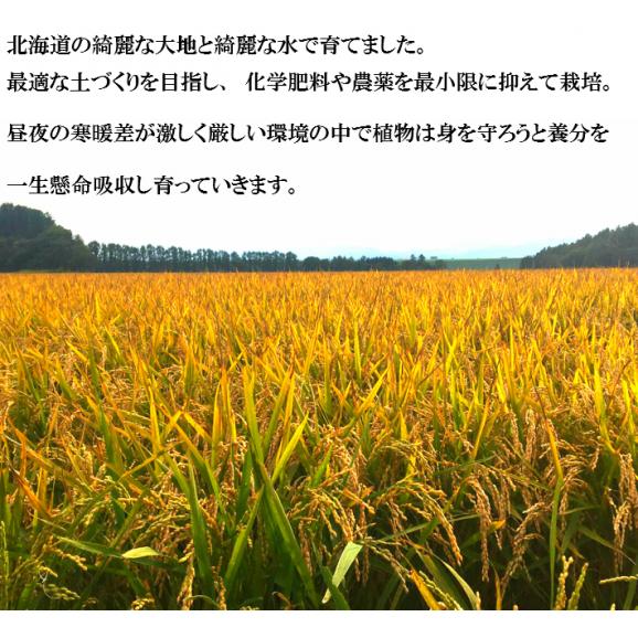 令和元年産【新米】北海道産　ゆめぴりか（ユメピリカ）　３０ｋｇ　【玄米】　精米無料06