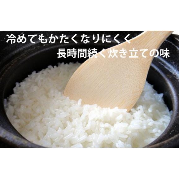 ゆめぴりか　北海道産　ゆめぴりか　１０ｋｇ　送料無料03
