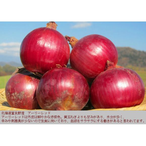 北海道富良野産　生食可能　赤いたまねぎ　訳あり　アーリーレッド　8kg（２Ｓサイズ・キズ・変形あり）送料無料06
