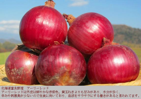 北海道富良野産 生食可能 赤いたまねぎ 訳あり アーリーレッド 8kg