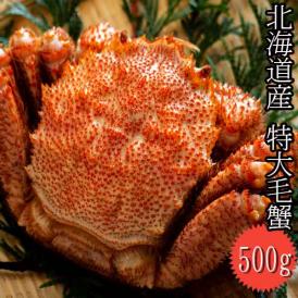 毛蟹　北海道産　500ｇ前後　１尾　送料無料