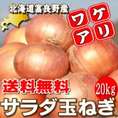 【送料無料】訳あり！北海道富良野産　低農薬で生でもあま～い　サラダ玉葱（たまねぎ）　20ｋｇ
