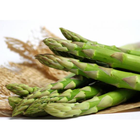 ハウス栽培 北海道富良野産 グリーンアスパラガス 極太 2Lサイズ 2kg 【送料無料】【4月上旬から5月上旬発送】03