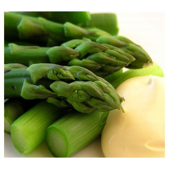 ハウス栽培　北海道富良野産　グリーンアスパラガス　極太　２Lサイズ　２ｋｇ　【送料無料】【４月上旬から５月上旬発送】04