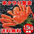 本タラバ蟹姿　１．５ｋｇ前後×１尾　《浜茹で急速冷凍》　【送料無料】