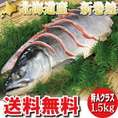 北海道産　新巻鮭　秋さけ　特大　１．５ｋｇ　【箱入り】お歳暮・ギフトにも最適