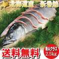 北海道産　新巻鮭　秋さけ　特大２．５ｋｇ　【箱入り】お歳暮・ギフトにも最適
