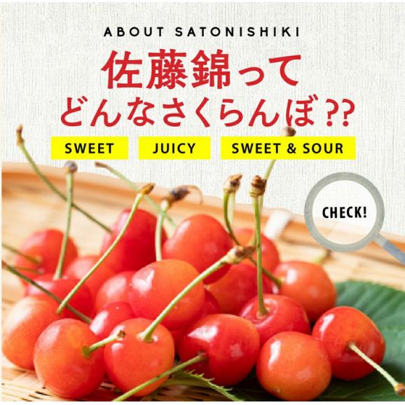 北海道 余市産　さくらんぼ　佐藤錦　ＭLサイズ 1kg 500g×2パック 7月上旬発送 日時指定不可03