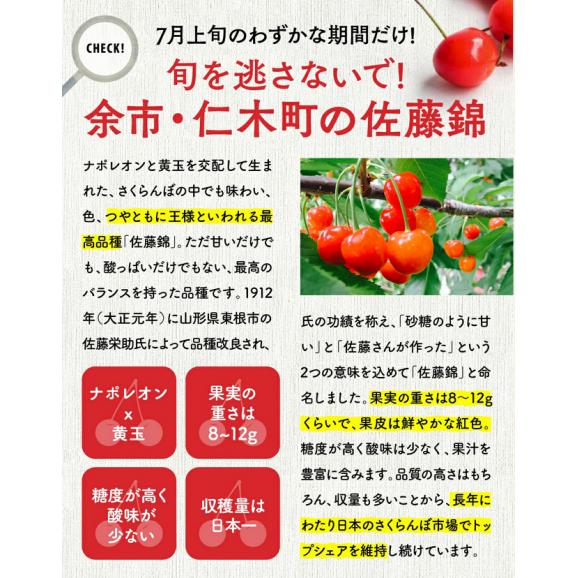 北海道 余市産　さくらんぼ　佐藤錦　ＭLサイズ 1kg 500g×2パック 7月上旬発送 日時指定不可05