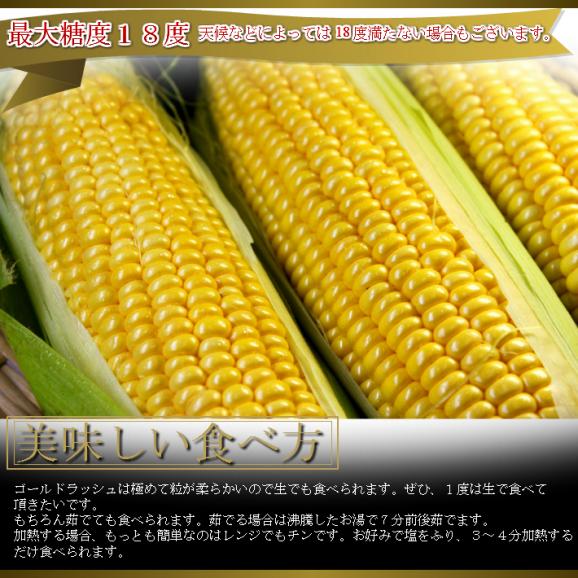 北海道ふらの産　【生】で食べれるトウモロコシ　ゴールドラッシュ　１０本　【日時指定不可】06