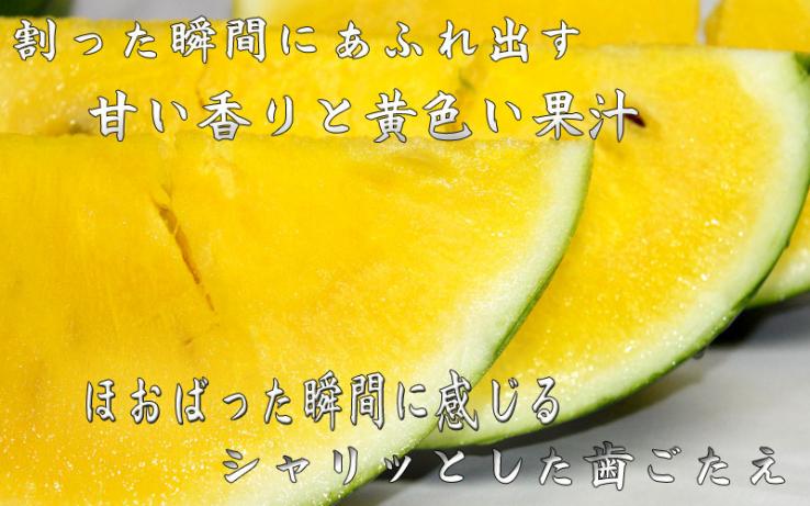 スイカ　北海道富良野産　クリームスイカ　４～５ｋｇ１玉　送料無料　【日時指定不可】_説明画像03