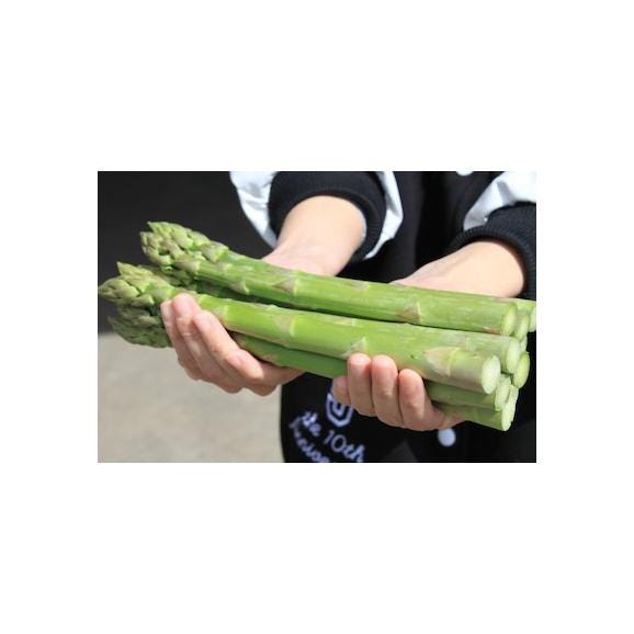 母の日ギフト カーネーション付き 北海道富良野産 グリーンアスパラガス 極太 2Lサイズ 500g 送料無料02