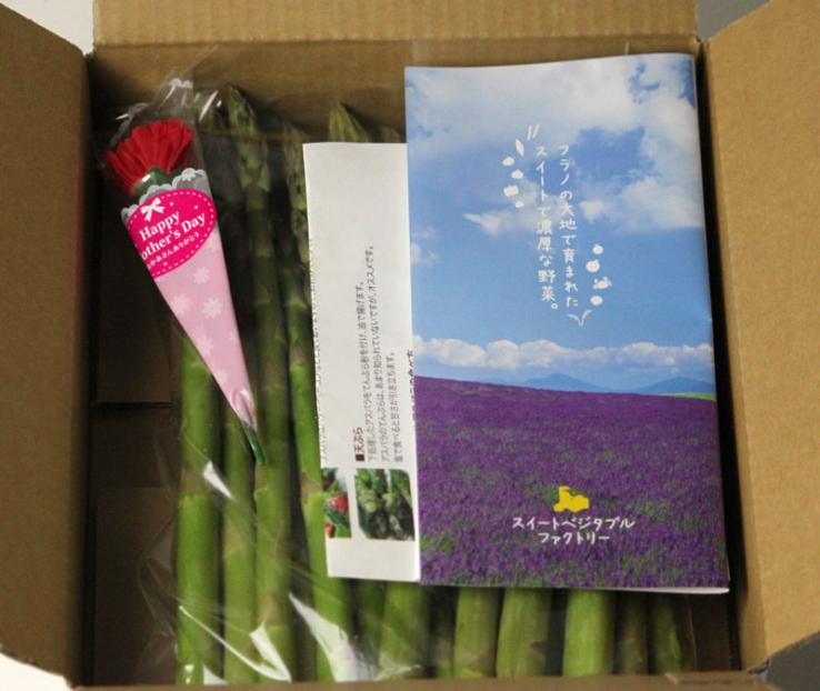 母の日ギフト カーネーション付き 北海道富良野産 グリーンアスパラガス 極太 2Lサイズ 500g 送料無料_説明画像02