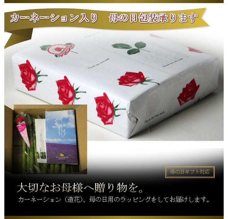 母の日ギフト カーネーション付き 北海道富良野産 グリーンアスパラガス 極太 2Lサイズ 500g 送料無料_説明画像03