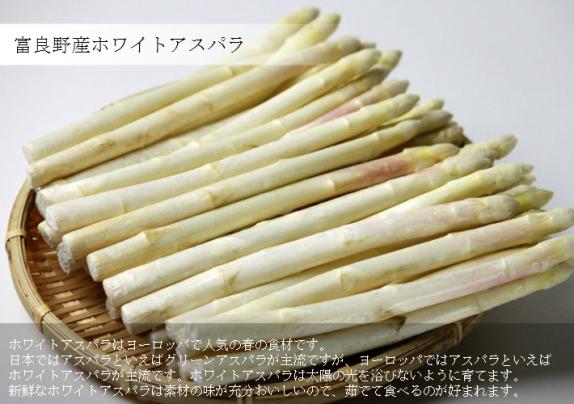 アスパラガス 北海道富良野産 ホワイトアスパラ SサイズからLサイズ