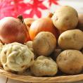北海道富良野産　旬の野菜セット（基本内容：男爵・レッドムーン・たまねぎ・ゆり根）　合計５ｋｇ以上　送料無料！