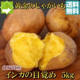 じゃがいも 北海道産　インカの目覚め　５ｋｇ 送料無料　日時指定不可