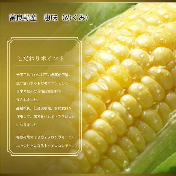 とうもろこし　北海道富良野産　生で食べれる！とうもころこし　恵味　訳あり　２０本入り【送料無料】日時指定不可04