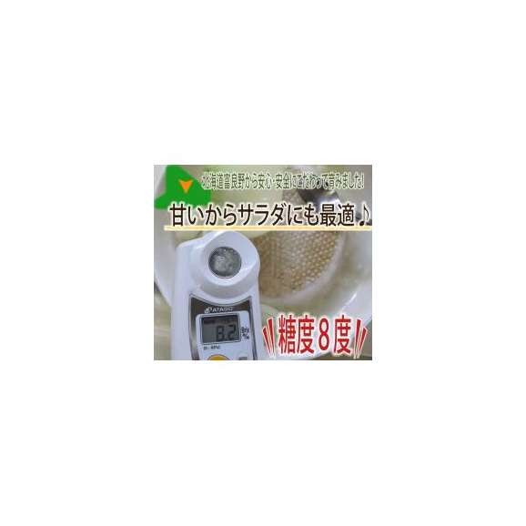 北海道富良野産　低農薬で生でも甘い！サラダ玉葱　【訳あり　１０ｋｇ詰め】03