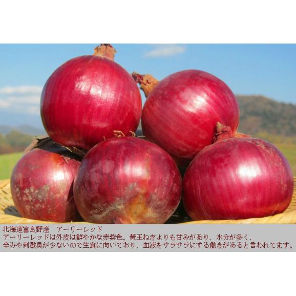 たまねぎ 北海道富良野産 赤い玉葱 アーリーレッド 4.5kg S～Lサイズ混み02