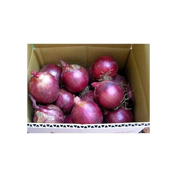 たまねぎ 北海道富良野産 赤い玉葱 アーリーレッド 4.5kg S～Lサイズ混み03