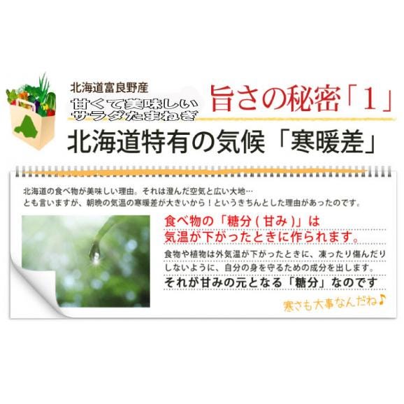 たまねぎ 北海道富良野産 赤い玉葱 アーリーレッド 4.5kg S～Lサイズ混み04