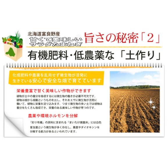 たまねぎ 北海道富良野産 赤い玉葱 アーリーレッド 4.5kg S～Lサイズ混み05