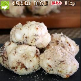 百合根 北海道 富良野産　訳あり　ゆり根　１kg
