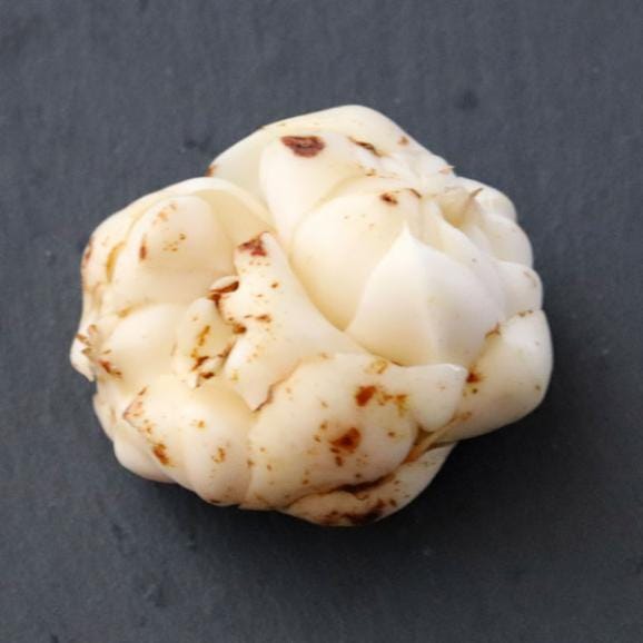 北海道富良野産　秀品　百合根　1kg 【送料無料】03