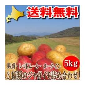 北海道富良野産じゃがいも福袋　３種類5ｋｇセット【メークイーン・男爵・レッドムーン】