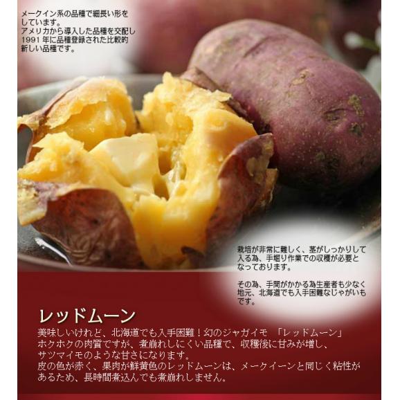 じゃがいも 北海道富良野産　赤いジャガイモ　レッドムーン 5ｋｇ【送料無料】05