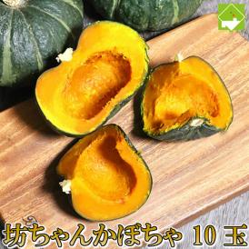 北海道富良野産　坊ちゃん（ぼっちゃん）かぼちゃ　10玉【送料無料】