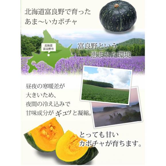 北海道富良野産　坊ちゃん（ぼっちゃん）かぼちゃ　10玉【送料無料】02