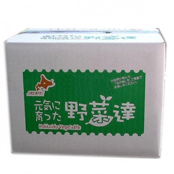 じゃがいも　北海道富良野産　北あかり　５ｋｇ　送料無料03