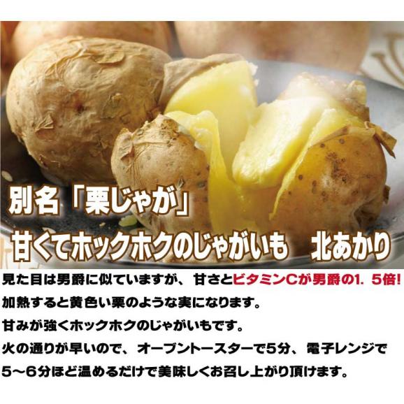 じゃがいも　北海道富良野産　北あかり　５ｋｇ　送料無料04