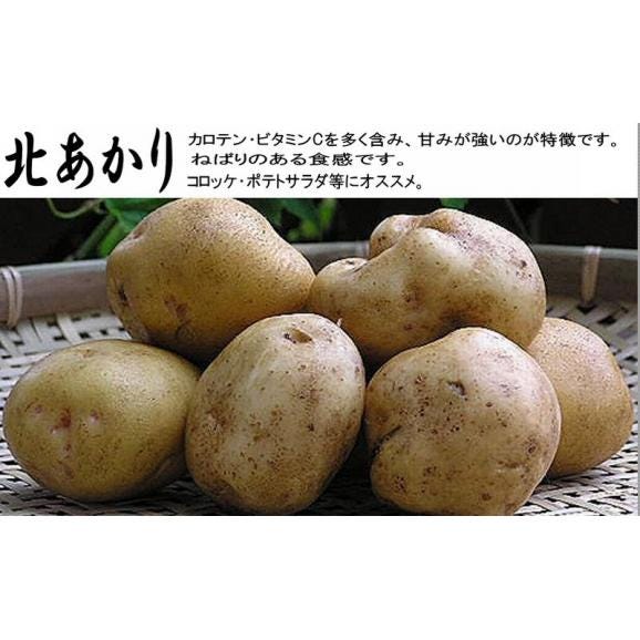 じゃがいも　北海道富良野産　北あかり　５ｋｇ　送料無料05