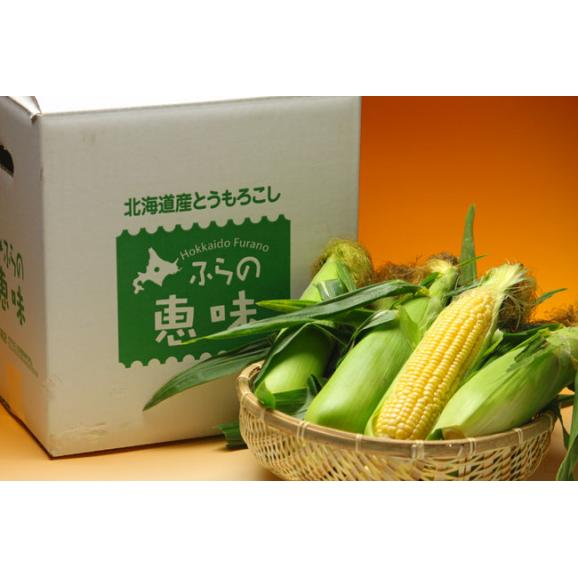 生で食べられるトウモロコシ　北海道富良野産　恵味（めぐみ）　２Lサイズ　１０本　送料無料　日時指定不可02