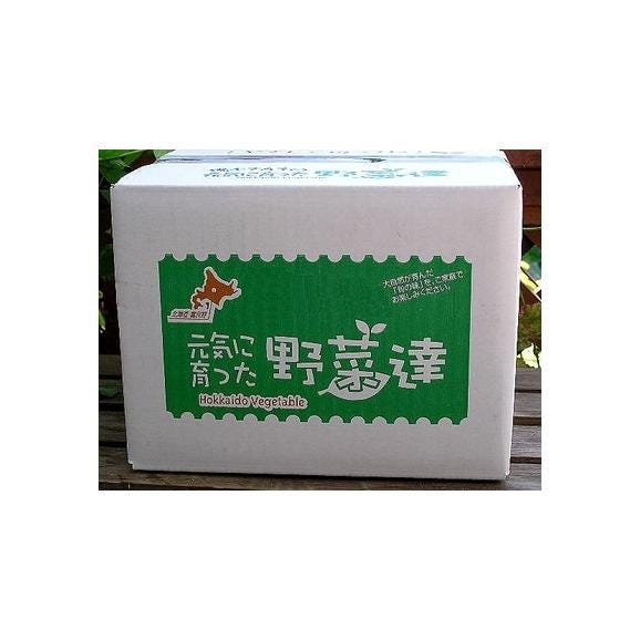生で食べられるトウモロコシ　北海道富良野産　恵味（めぐみ）　２Lサイズ　１０本　送料無料　日時指定不可06