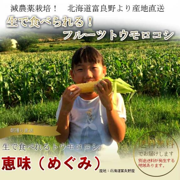 生で食べられるトウモロコシ 北海道富良野産 恵味（めぐみ） 2Lサイズ
