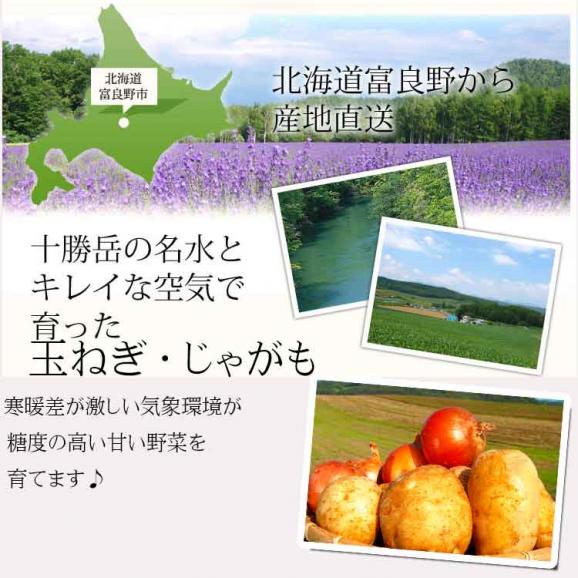 北海道富良野産 じゃがいも・玉ねぎ　10kgセット02